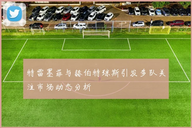 特雷墨菲与赫伯特琼斯引发多队关注市场动态分析